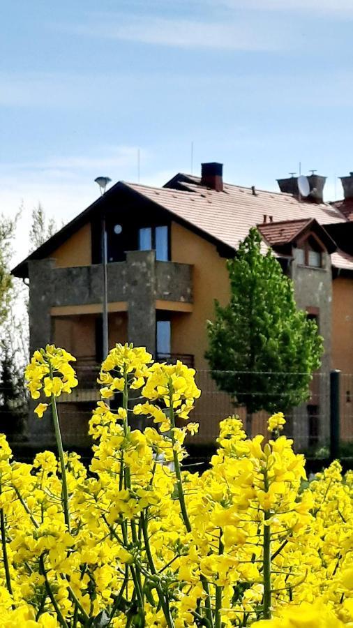 Kamilla Apartman Villapark Bük 外观 照片